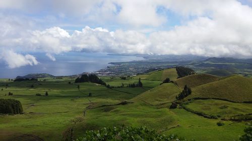 Scenic view of agricultural field against sky