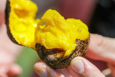 Close-up of hand holding yellow ice cream