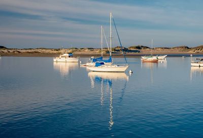 Sailboats moored in marina