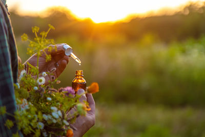 Cropped hand of woman holding flowers