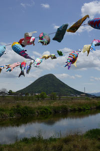 Carp streamer dancing in the wind