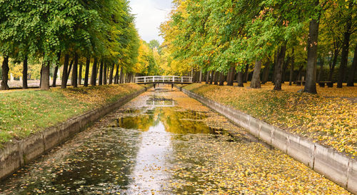 Bridge over river