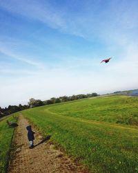 Rear view of person paragliding on field against sky