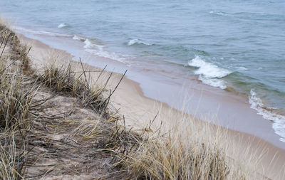 Scenic view of beach