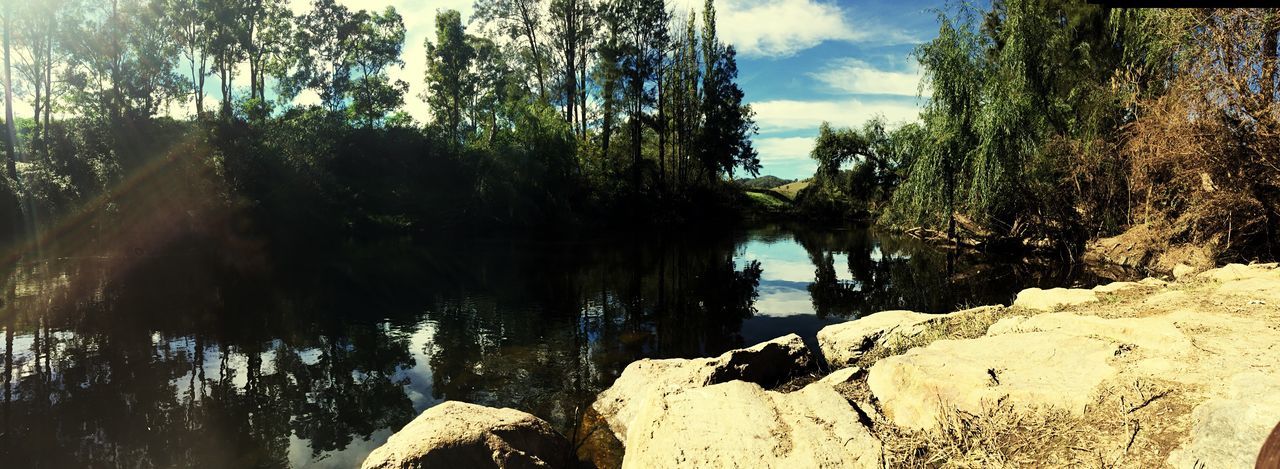 tree, nature, rock - object, reflection, lake, water, tranquil scene, tranquility, no people, day, beauty in nature, scenics, sky, outdoors, growth, forest, close-up