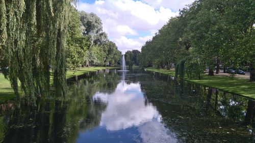 Scenic view of lake by trees against sky