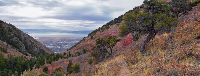 Slate canyon views from hiking trail fall, provo peak, slide rock canyon, wasatch  front, utah usa