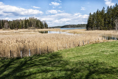 Scenic view of land against sky