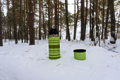 Green striped thermos with hot drink standing in the snow on table in winter forest. tea drinking 