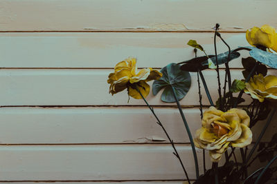 Close-up of yellow flowers blooming outdoors