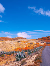 Canary islands. fuerteventura countryside. desert road and volcanoes. travel concept stylish 