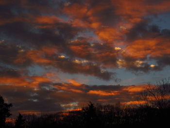 Low angle view of silhouette trees against sky at sunset