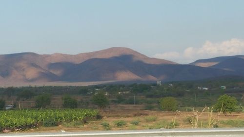 Scenic view of landscape against sky