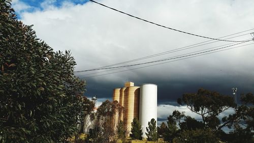 Low angle view of trees against sky