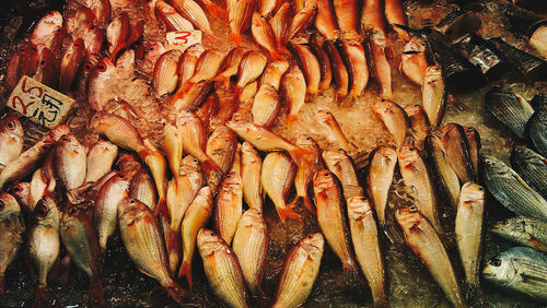 High angle view of fish for sale at market stall