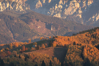 Autumn countryside landscape in transylvania, romania, at the foot of the carpathian mountains