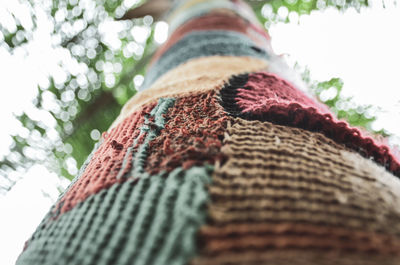 Low angle view of an animal on tree trunk