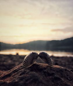 Close-up of rock in sea against sky