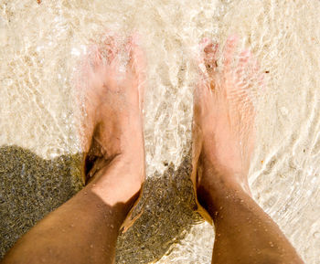 Low section of person standing on beach