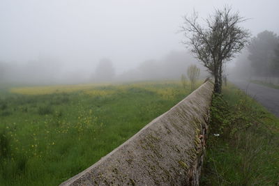 Scenic view of field against sky during foggy weather