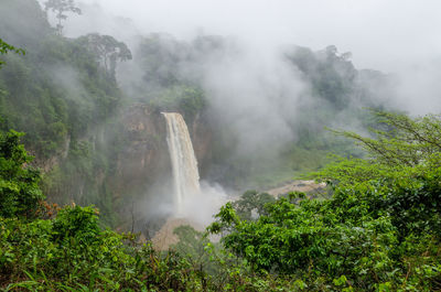 Scenic view of ekom waterfall in foggy rainforest of cameroon, africa