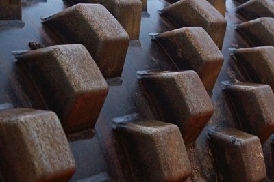 Close-up of vegetables on ground