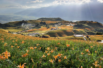 Scenic view of field against sky