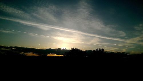 Silhouette of trees at sunset