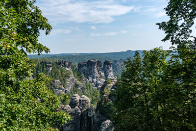 Scenic view of forest against sky