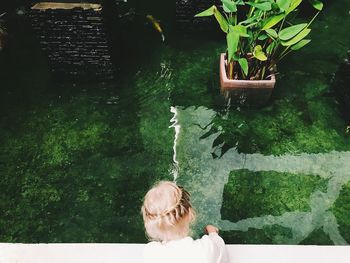 High angle view of woman looking in pond