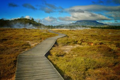 Empty road on grassy field