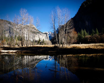 Reflection of trees in lake against sky