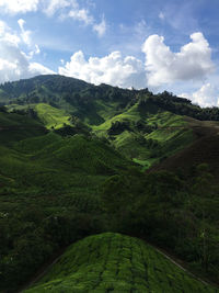 Scenic view of tea field against sky