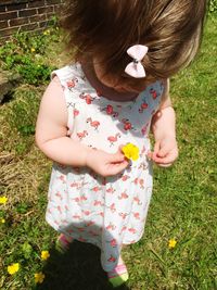 Rear view of girl holding plant on field