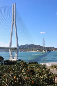 View of suspension bridge over sea