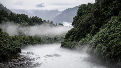 Scenic view of waterfall in forest