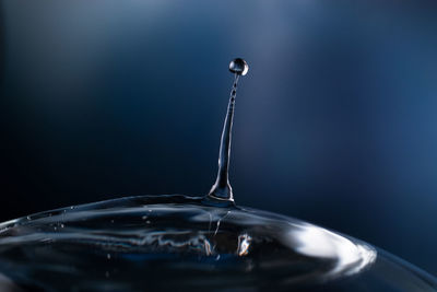 Close-up of water drop