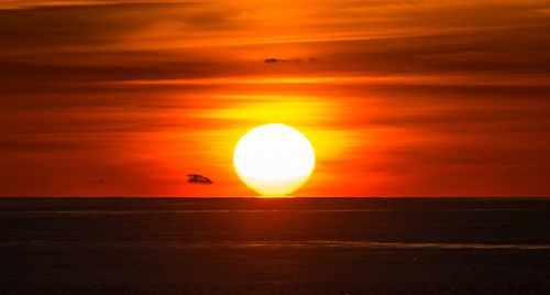 Scenic view of sunset over sea