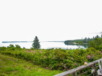 Scenic view of landscape against clear sky