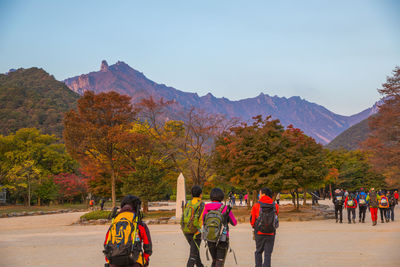 People walking on road against trees