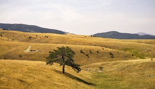 Scenic view of field and mountains against sky