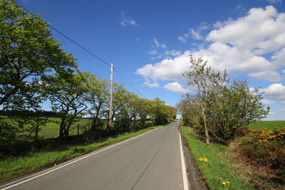 Empty road along trees and landscape against sky