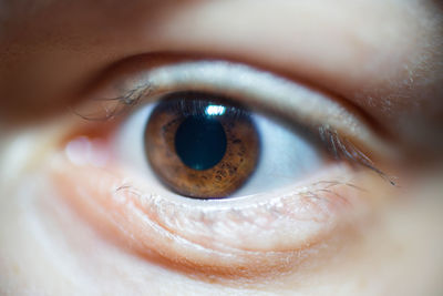 Extreme close-up of human eye