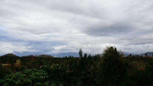 Scenic view of landscape against cloudy sky