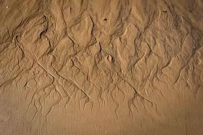 Full frame shot of wet sand