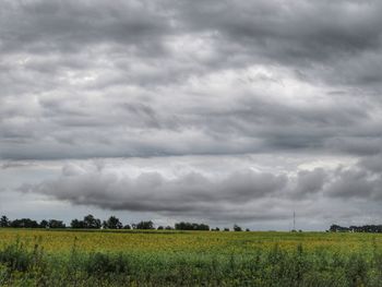 Scenic view of field against sky