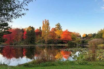 Reflection of trees in lake against sky during autumn