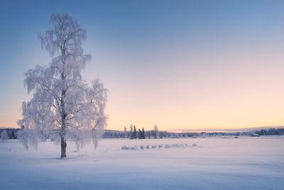 Scenic view of snow covered landscape against clear sky