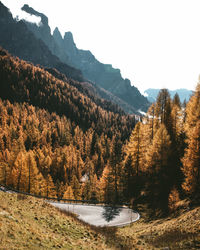 Scenic view of lake by trees against sky during autumn