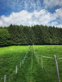 Scenic view of agricultural field against sky